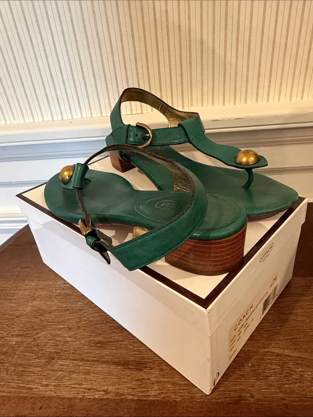Coach Teal Leather Thong Sandals with Gold Accent and Low Stacked Heel